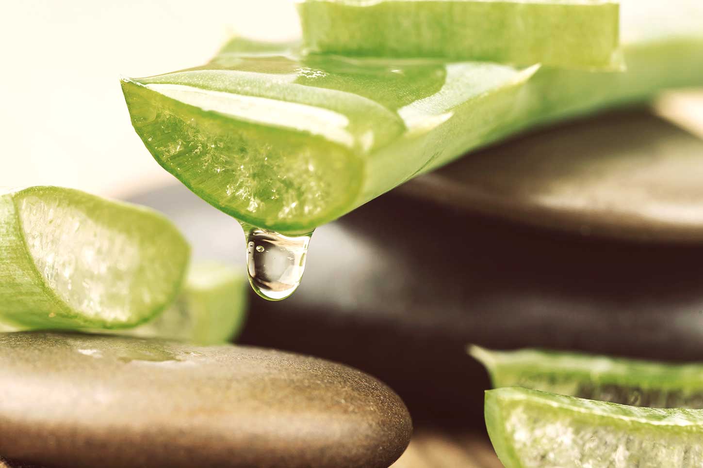 Ritual Aloe