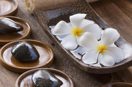 Cleansing Algae Detox Body Wrap
