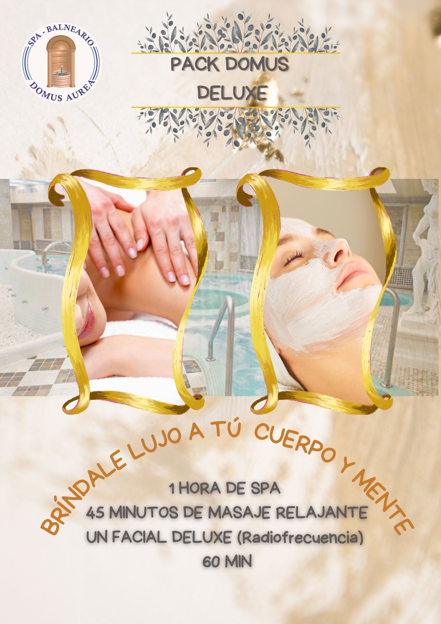 PACK DOMUS DELUXE